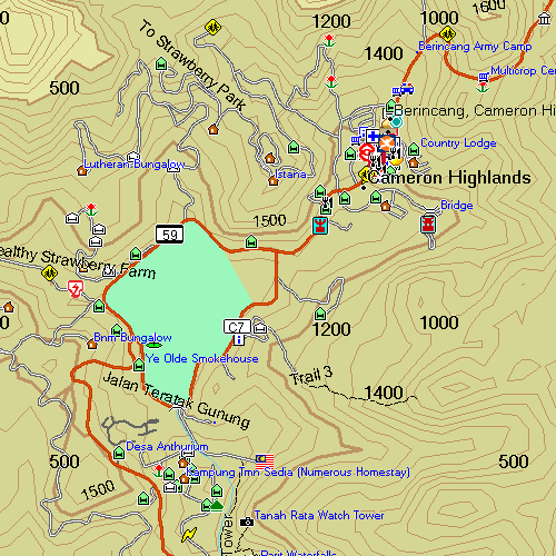 MFM SRTM2